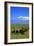 Mount Ararat-Charles Bowman-Framed Photographic Print