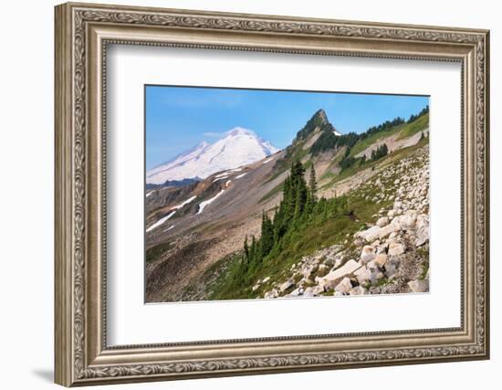 Mount Baker and Coleman Pinnacle from Ptarmigan Ridge Trail, North Cascades, Washington State-Alan Majchrowicz-Framed Photographic Print