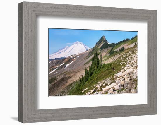 Mount Baker and Coleman Pinnacle from Ptarmigan Ridge Trail, North Cascades, Washington State-Alan Majchrowicz-Framed Photographic Print