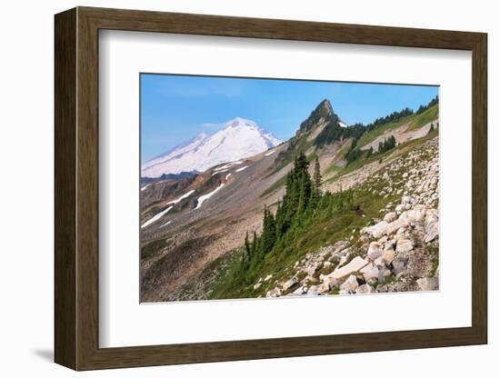 Mount Baker and Coleman Pinnacle from Ptarmigan Ridge Trail, North Cascades, Washington State-Alan Majchrowicz-Framed Photographic Print