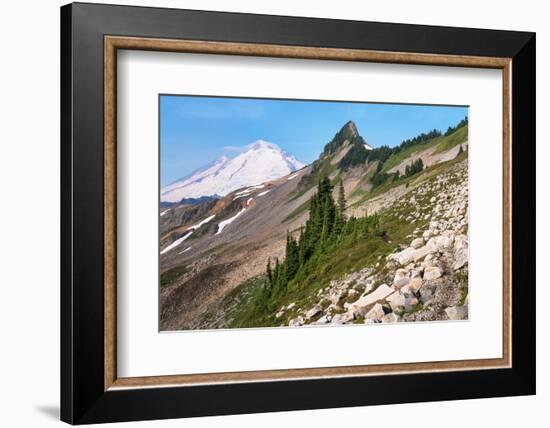 Mount Baker and Coleman Pinnacle from Ptarmigan Ridge Trail, North Cascades, Washington State-Alan Majchrowicz-Framed Photographic Print