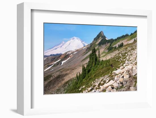 Mount Baker and Coleman Pinnacle from Ptarmigan Ridge Trail, North Cascades, Washington State-Alan Majchrowicz-Framed Photographic Print