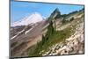 Mount Baker and Coleman Pinnacle from Ptarmigan Ridge Trail, North Cascades, Washington State-Alan Majchrowicz-Mounted Photographic Print