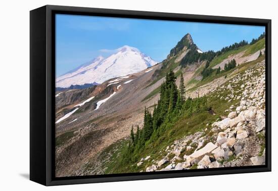 Mount Baker and Coleman Pinnacle from Ptarmigan Ridge Trail, North Cascades, Washington State-Alan Majchrowicz-Framed Premier Image Canvas