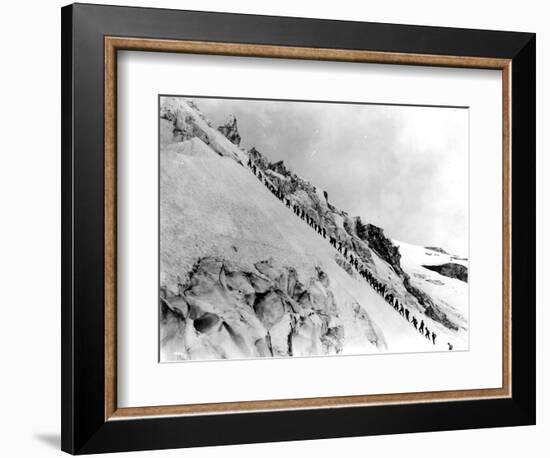 Mount Baker Ascent, 1908-Asahel Curtis-Framed Giclee Print