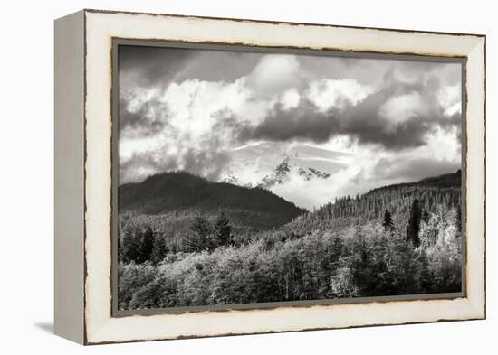 Mount Baker Exposed-Dana Styber-Framed Premier Image Canvas