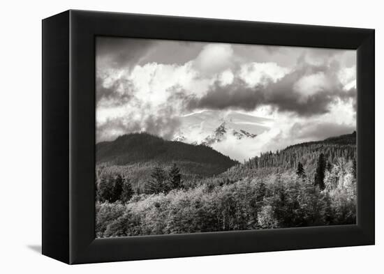 Mount Baker Exposed-Dana Styber-Framed Premier Image Canvas