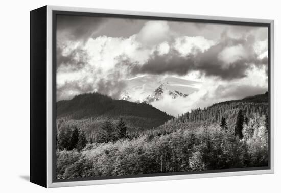 Mount Baker Exposed-Dana Styber-Framed Premier Image Canvas