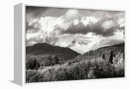 Mount Baker Exposed-Dana Styber-Framed Premier Image Canvas