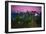 Mount Baker, Washington - Pink and Purple Sunset-Lantern Press-Framed Art Print