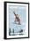Mount Baker, Washington - Snowboarder Jumping-Lantern Press-Framed Art Print