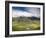 Mount Brandon, Connor Pass, Dingle Peninsula, County Kerry, Munster, Republic of Ireland, Europe-Richard Cummins-Framed Photographic Print