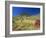 Mount Bruce and Termite Mounds, Karijini National Park, Pilbara, Western Australia, Australia-Pitamitz Sergio-Framed Photographic Print