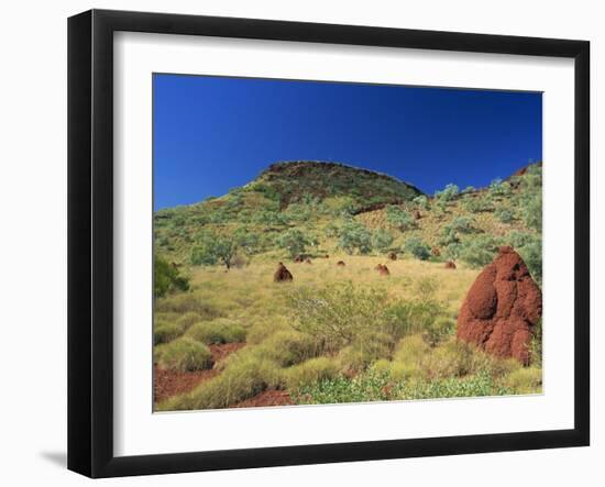 Mount Bruce and Termite Mounds, Karijini National Park, Pilbara, Western Australia, Australia-Pitamitz Sergio-Framed Photographic Print