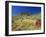 Mount Bruce and Termite Mounds, Karijini National Park, Pilbara, Western Australia, Australia-Pitamitz Sergio-Framed Photographic Print