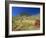 Mount Bruce and Termite Mounds, Karijini National Park, Pilbara, Western Australia, Australia-Pitamitz Sergio-Framed Photographic Print