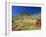 Mount Bruce and Termite Mounds, Karijini National Park, Pilbara, Western Australia, Australia-Pitamitz Sergio-Framed Photographic Print