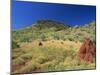 Mount Bruce and Termite Mounds, Karijini National Park, Pilbara, Western Australia, Australia-Pitamitz Sergio-Mounted Photographic Print