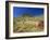 Mount Bruce and Termite Mounds, Karijini National Park, Pilbara, Western Australia, Australia-Pitamitz Sergio-Framed Photographic Print