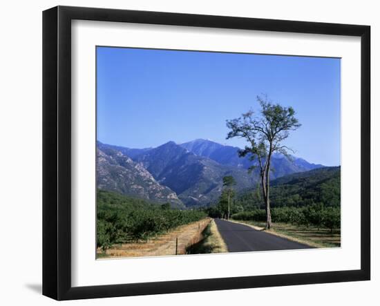 Mount Canigou, Pyrenees-Orientale, Languedoc Roussillon, France-David Hughes-Framed Photographic Print