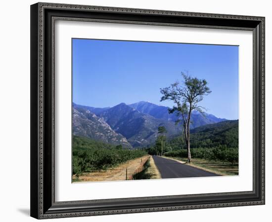 Mount Canigou, Pyrenees-Orientale, Languedoc Roussillon, France-David Hughes-Framed Photographic Print