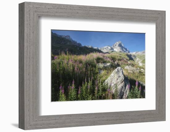 Mount Cervin Peak-Philippe Manguin-Framed Photographic Print