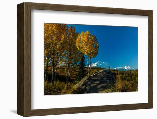 Mount Denali, previously known as McKinley from Wonder Lake, Denali National Park, Alaska-null-Framed Photographic Print