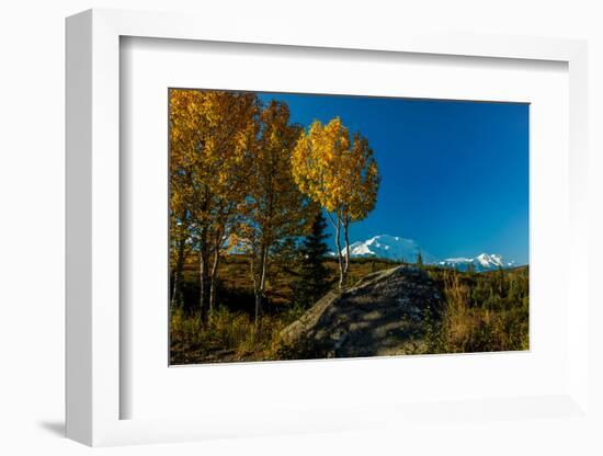 Mount Denali, previously known as McKinley from Wonder Lake, Denali National Park, Alaska-null-Framed Photographic Print