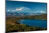 Mount Denali, previously known as McKinley from Wonder Lake, Denali National Park, Alaska-null-Mounted Photographic Print