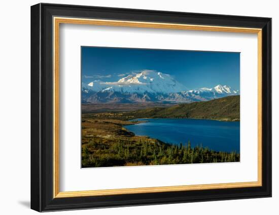 Mount Denali, previously known as McKinley from Wonder Lake, Denali National Park, Alaska-null-Framed Photographic Print