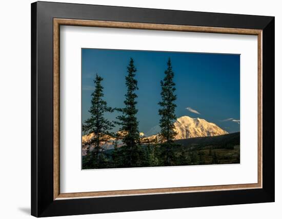 Mount Denali, previously known as McKinley from Wonder Lake, Denali National Park, Alaska-null-Framed Photographic Print