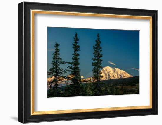 Mount Denali, previously known as McKinley from Wonder Lake, Denali National Park, Alaska-null-Framed Photographic Print