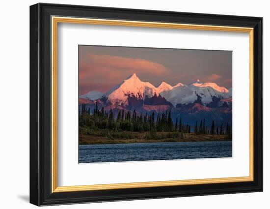 Mount Denali, previously known as McKinley from Wonder Lake, Denali National Park, Alaska-null-Framed Photographic Print