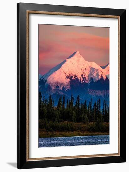 Mount Denali, previously known as McKinley from Wonder Lake, Denali National Park, Alaska-null-Framed Photographic Print