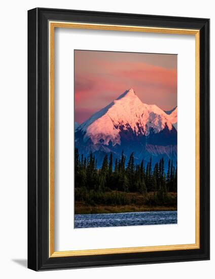 Mount Denali, previously known as McKinley from Wonder Lake, Denali National Park, Alaska-null-Framed Photographic Print