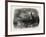 Mount Desert Isle, 1870s-null-Framed Giclee Print