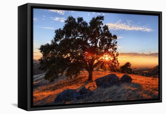 Mount Diablo Sun Star & Rocks Walnut Creek Danville State Park-Vincent James-Framed Premier Image Canvas