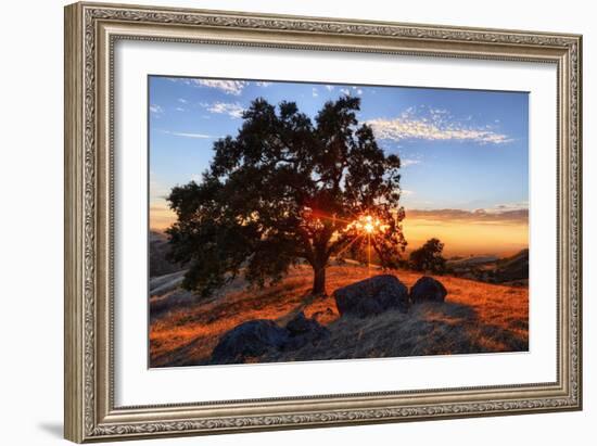 Mount Diablo Sun Star & Rocks Walnut Creek Danville State Park-Vincent James-Framed Photographic Print