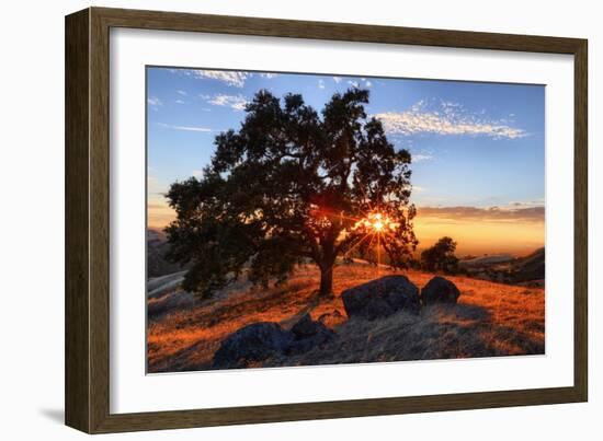 Mount Diablo Sun Star & Rocks Walnut Creek Danville State Park-Vincent James-Framed Photographic Print