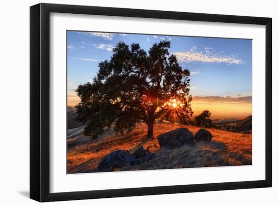 Mount Diablo Sun Star & Rocks Walnut Creek Danville State Park-Vincent James-Framed Photographic Print