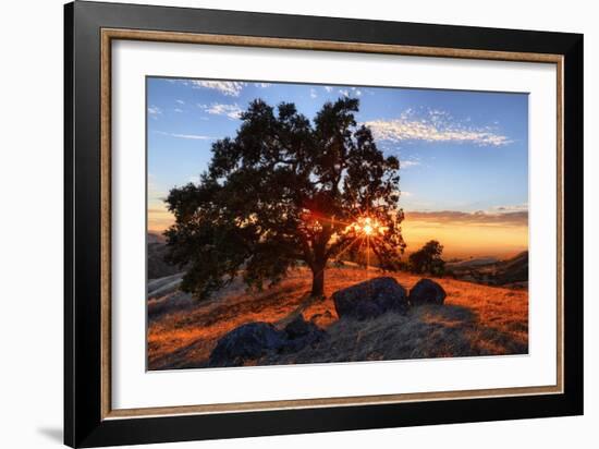 Mount Diablo Sun Star & Rocks Walnut Creek Danville State Park-Vincent James-Framed Photographic Print