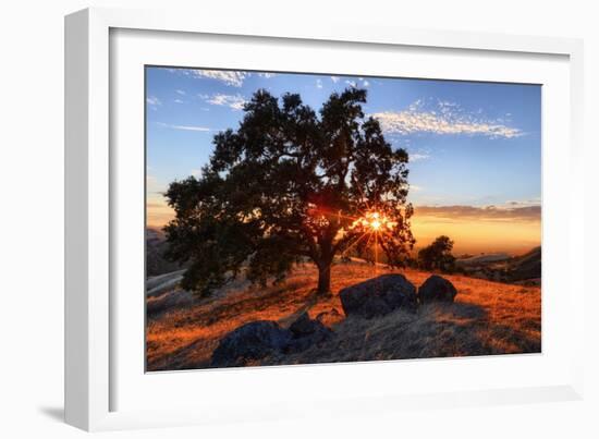 Mount Diablo Sun Star & Rocks Walnut Creek Danville State Park-Vincent James-Framed Photographic Print