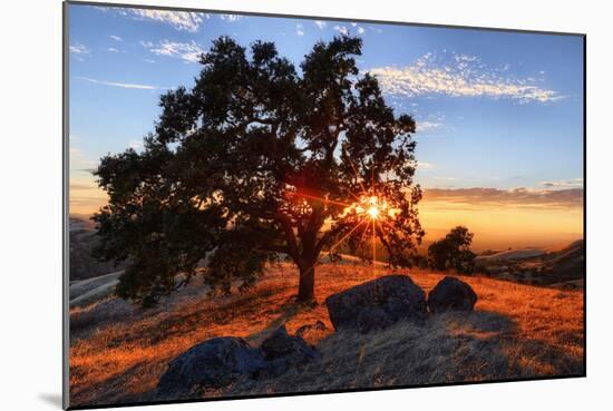 Mount Diablo Sun Star & Rocks Walnut Creek Danville State Park-Vincent James-Mounted Photographic Print