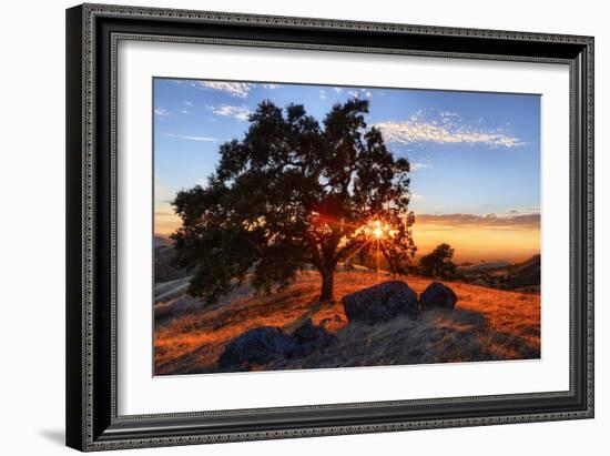 Mount Diablo Sun Star & Rocks Walnut Creek Danville State Park-Vincent James-Framed Photographic Print