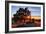 Mount Diablo Sun Star & Rocks Walnut Creek Danville State Park-Vincent James-Framed Photographic Print