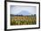 Mount Edgecumbe (Putauaki), Near Whakatane, Bay of Plenty, North Island, New Zealand, Pacific-Matthew Williams-Ellis-Framed Photographic Print