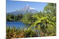 Photographic Print