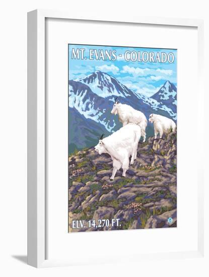 Mount Evans, Colorado, Mountain Goat Family-Lantern Press-Framed Art Print