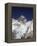 Mount Everest Summit-AdventureArt-Framed Premier Image Canvas