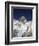 Mount Everest Summit-AdventureArt-Framed Photographic Print